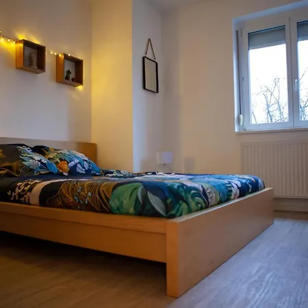 Appartement Strasbourg שטרסבורג